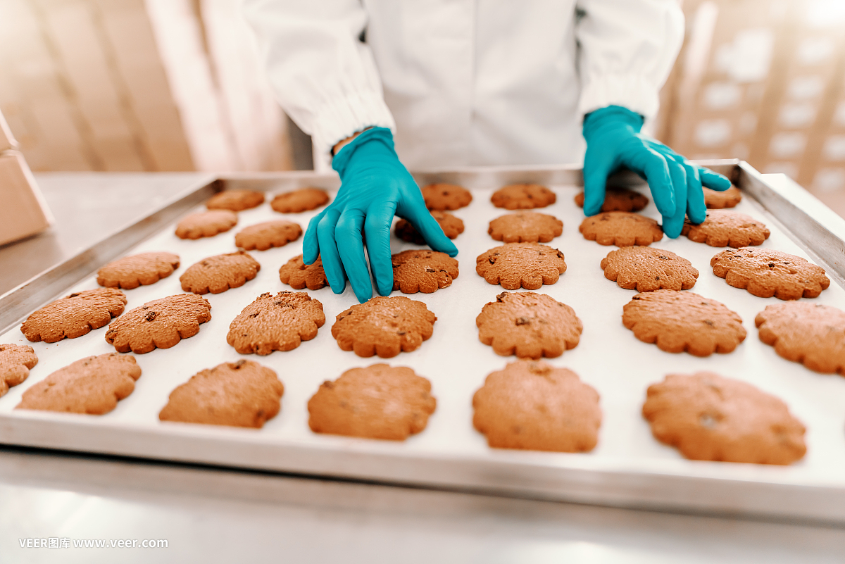 近距离拍摄女员工收集新鲜美味的烤饼干。食品工厂内部。